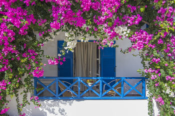 Apartamento Margarenia Studios
