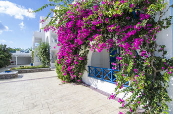 Apartamento Margarenia Studios
