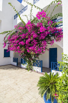 Apartamento Margarenia Studios
