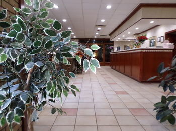 Hotel Days Inn Conference Center Southern Pines Pinehurst