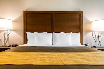 Hotel Comfort Inn & Suites