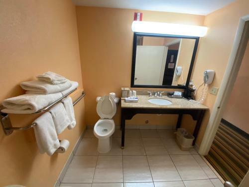 Hotel Super 8 Midlothian/richmond Area