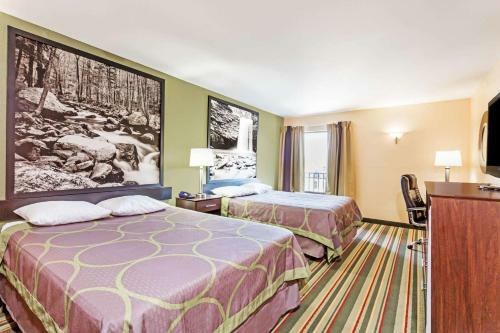 Hotel Super 8 Midlothian/richmond Area