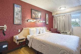 Hotel Red Roof Inn Tampa Busch