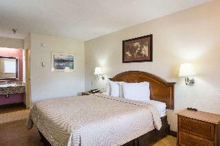Hotel Red Roof Inn Tampa Busch