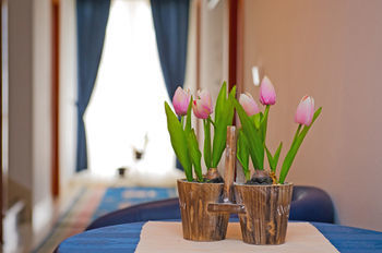 Hotel Villa Javor