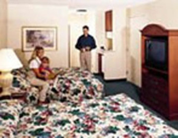 Hotel Hilton Garden Inn Albany Airport