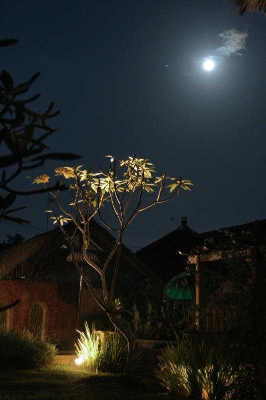Villa D'omah Hotel Bali