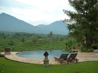 Hotel Ijen Resort