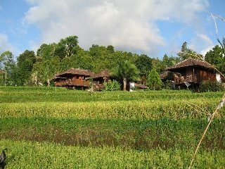 Hotel Puri Lumbung
