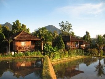 Hotel Puri Lumbung