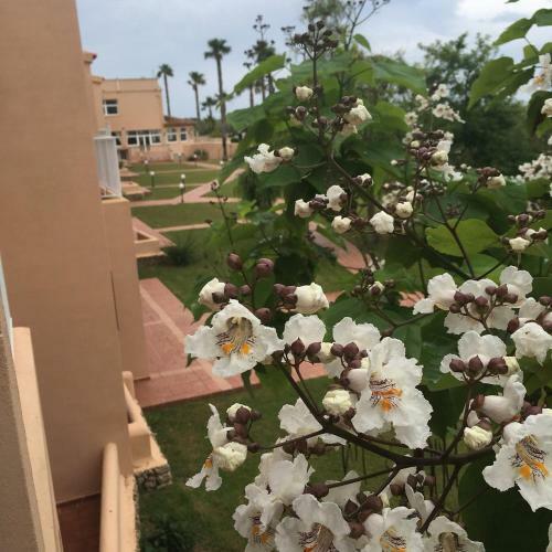 Apartamento La Noria De Son Bou