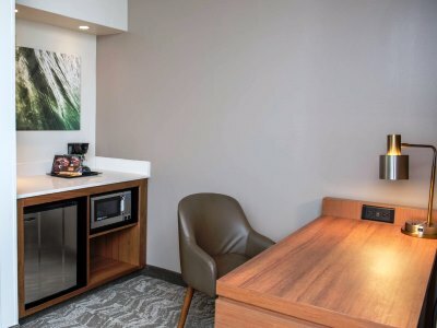 Hotel Springhill Suites Miami Airport South