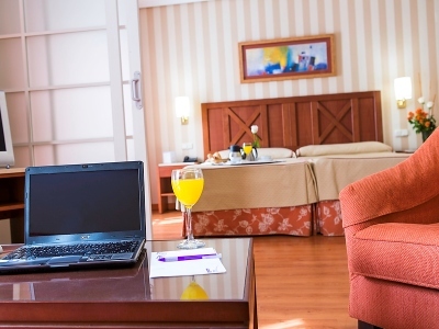 Hotel TRH Alcora (junior Suite)