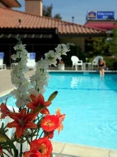 Hotel Bw Plus Executive Inn (bs