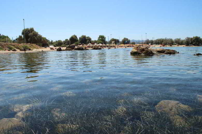 Hotel Elotia