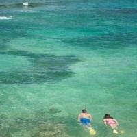 Hotel Hawksbill By Rex Resort All Inclusive
