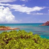 Hotel Hawksbill By Rex Resort All Inclusive