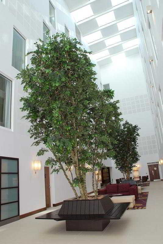 Hotel Courtyard By Marriott Airport