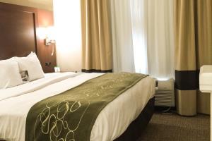 Hotel Comfort Suites