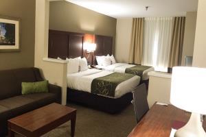 Hotel Comfort Suites