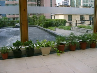 Hotel Asset