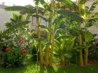 Residencia Riad Alkantara