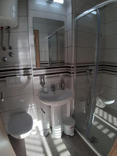 Residencia Carolrooms