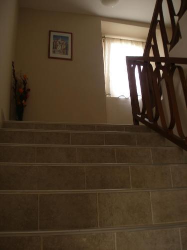 Residencia Carolrooms