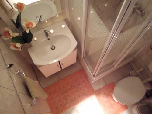 Residencia Carolrooms