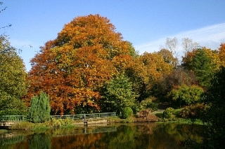 Beech Hill Country House Hotel