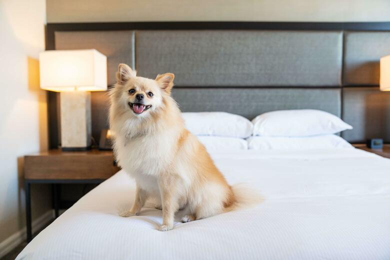 Doubletree Hotel San Diego Mission Valley