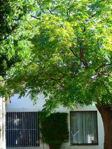 Apartamento Fourlays Lion Cottage