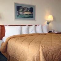Hotel Comfort Inn - South Forest Beach
