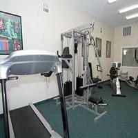 Hotel La Quinta Inn Houston