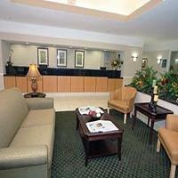 Hotel La Quinta Inn Houston