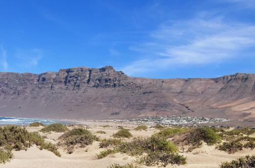 Famara Bungalow, Hibiscos