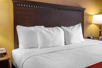 Hotel Comfort Suites Gateway
