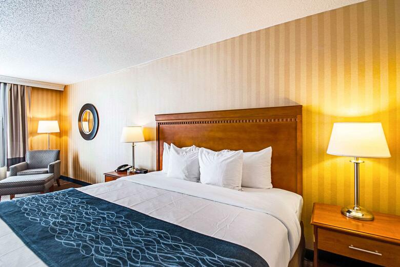 Hotel Comfort Inn Arlington Blvd/dc Gateway