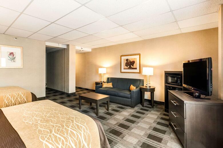 Hotel Comfort Inn Ballston