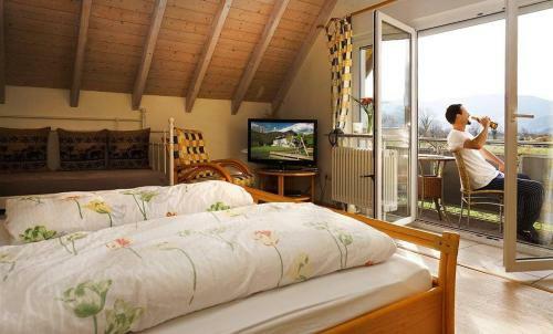 Apartamentos Falken