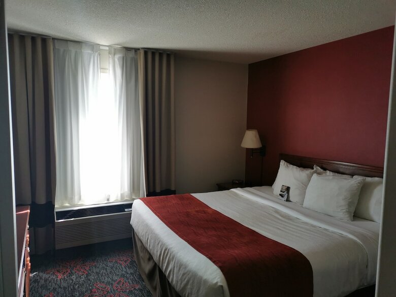 Hotel Comfort Inn & Suites University