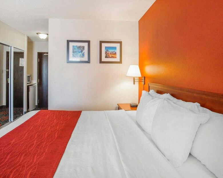 Hotel Comfort Inn & Suites University