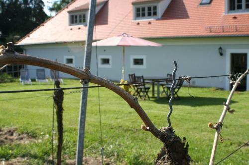 Apartamento Weingut Haus Steinbach