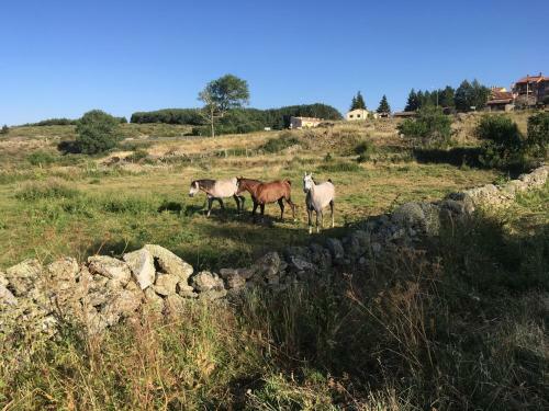 Agroturismo Casa Rural La Casa De Piedra