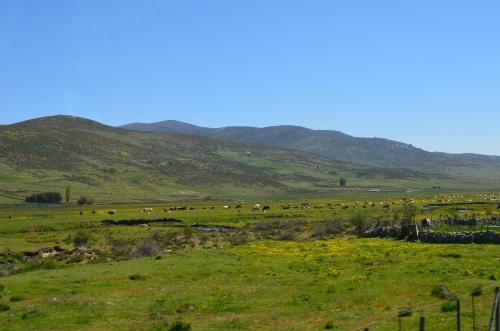 Agroturismo Casa Rural La Casa De Piedra