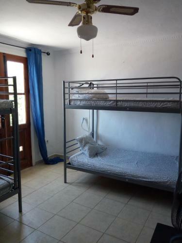 Olive Branch Apartment