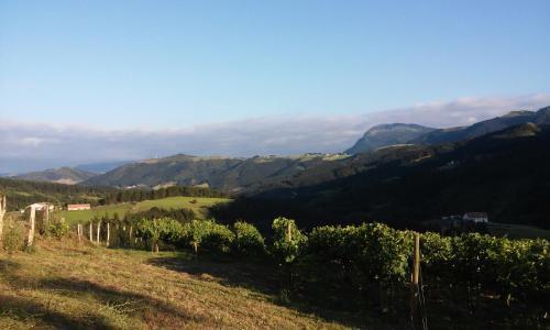Agroturismo Erlete Goikoa