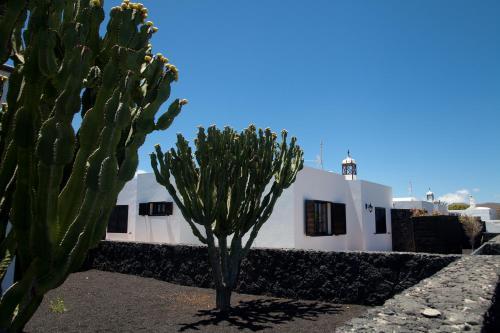 Holiday Villa Campesina