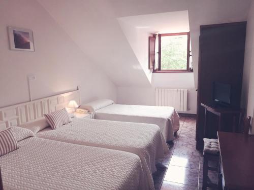 Hotel Solatorre